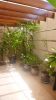 229_Inside_C_yard_Before_2010_Reno.jpg
