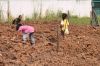 Filename=Workers_kids.jpg
Filesize=405KiB
Dimensions=1000x669
Date added=Mar 06, 2011 Workers_kids.jpg