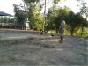 Dec102010_11.jpg