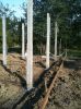 Dec182010_8.jpg
