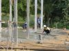 Filename=Dec202010_15.jpg
Filesize=980KiB
Dimensions=1725x1302
Date added=Aug 03, 2012 Dec202010_15.jpg