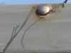 Filename=Dec202010_18.jpg
Filesize=369KiB
Dimensions=1734x1306
Date added=Aug 03, 2012 Dec202010_18.jpg