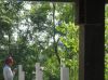 Filename=Dec202010_5.jpg
Filesize=877KiB
Dimensions=1734x1293
Date added=Jul 27, 2012 Dec202010_5.jpg