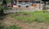 Filename=Cleared-land-1bb.jpg
Filesize=148KiB
Dimensions=477x292
Date added=Oct 11, 2009 Cleared-land-1bb.jpg