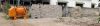 Filename=front-of-landbb.jpg
Filesize=80KiB
Dimensions=597x158
Date added=Oct 11, 2009 front-of-landbb.jpg
