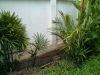 014-IMG_20141031_150133.jpg