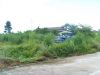 SDC11742_resize.JPG