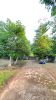 Filename=Looking_to_the_Front_Gate~0.jpg
Filesize=615KiB
Dimensions=1152x2048
Date added=Nov 13, 2022 Looking_to_the_Front_Gate~0.jpg