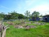 Filename=2012-04-16-c.jpg
Filesize=289KiB
Dimensions=700x525
Date added=Apr 18, 2012 2012-04-16-c.jpg