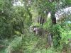 Filename=being_cleared.jpg
Filesize=364KiB
Dimensions=840x630
Date added=Dec 23, 2012 being_cleared.jpg