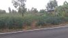 20160207_180435.jpg