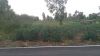 20160207_180438.jpg