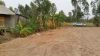 20160307_173037.jpg