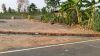 20160309_165323.jpg